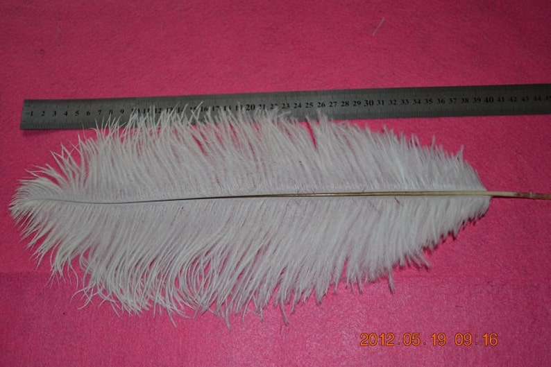 50pcs/lot 14-16 inches ostrich feather for wedding table centerpiece decorations AA quality Many colors in stock image 1