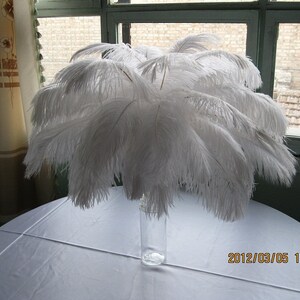 Rush shipping 100pcs  ostrich feathers,wedding table centerpiece,wedding table decoration,ostrich centerpiece,ostrich feather centerpiece
