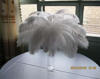 Rush shipping 100pcs  ostrich feathers,wedding table centerpiece,wedding table decoration,ostrich centerpiece,ostrich feather centerpiece