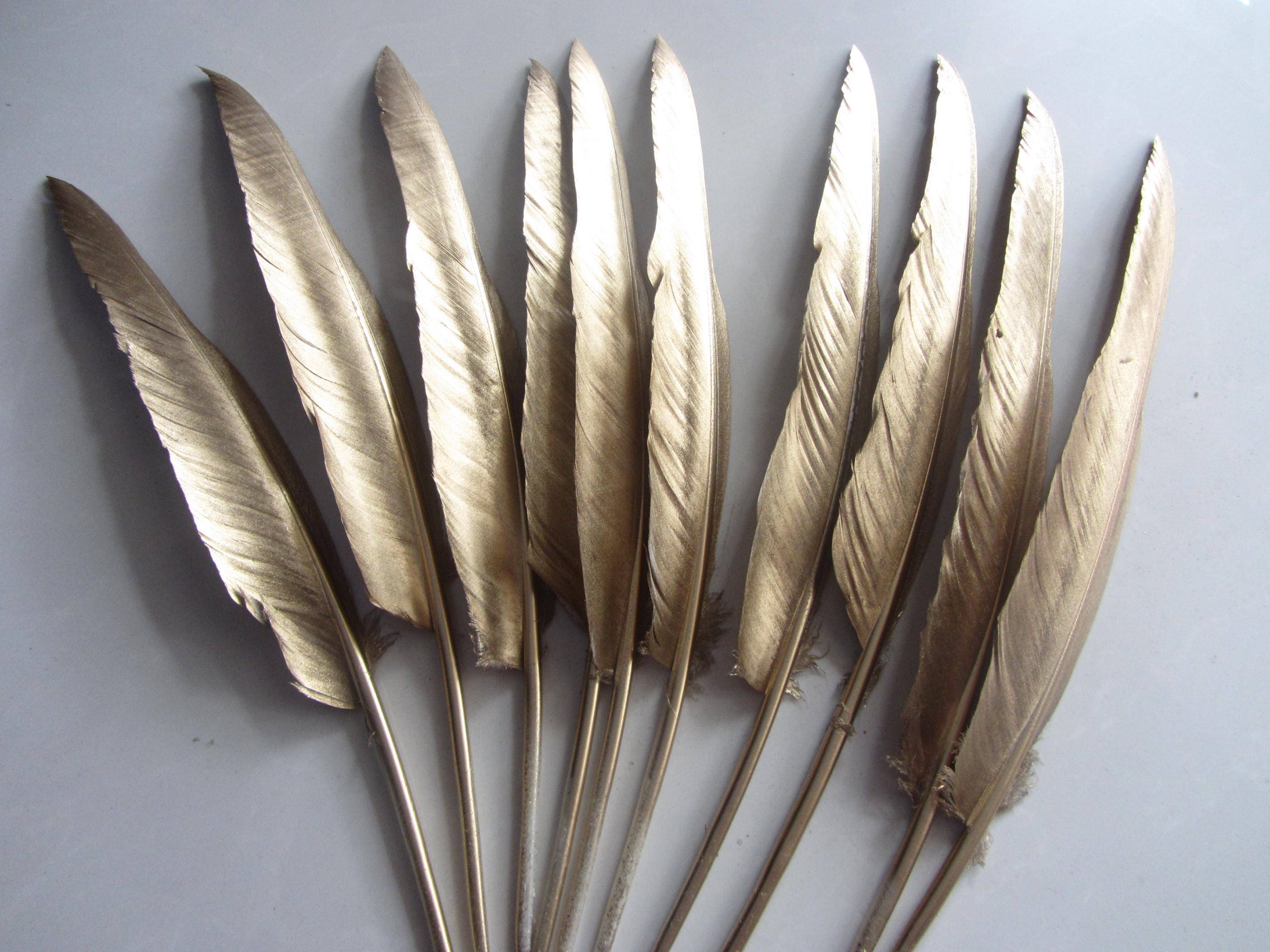 Gold Feathers 