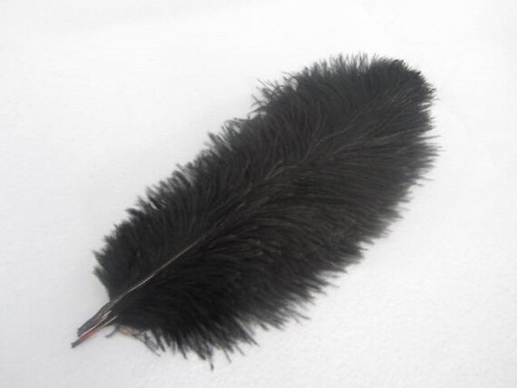 black Feathers 100pieces 18-20inch Ostrich Feather Plume for Wedding  centerpieces Frist Class selected