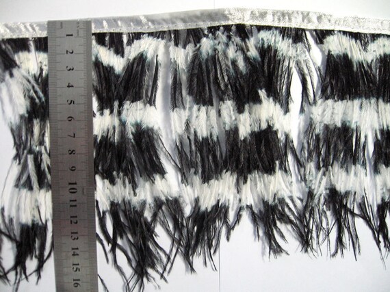 black ostrich feather fringe