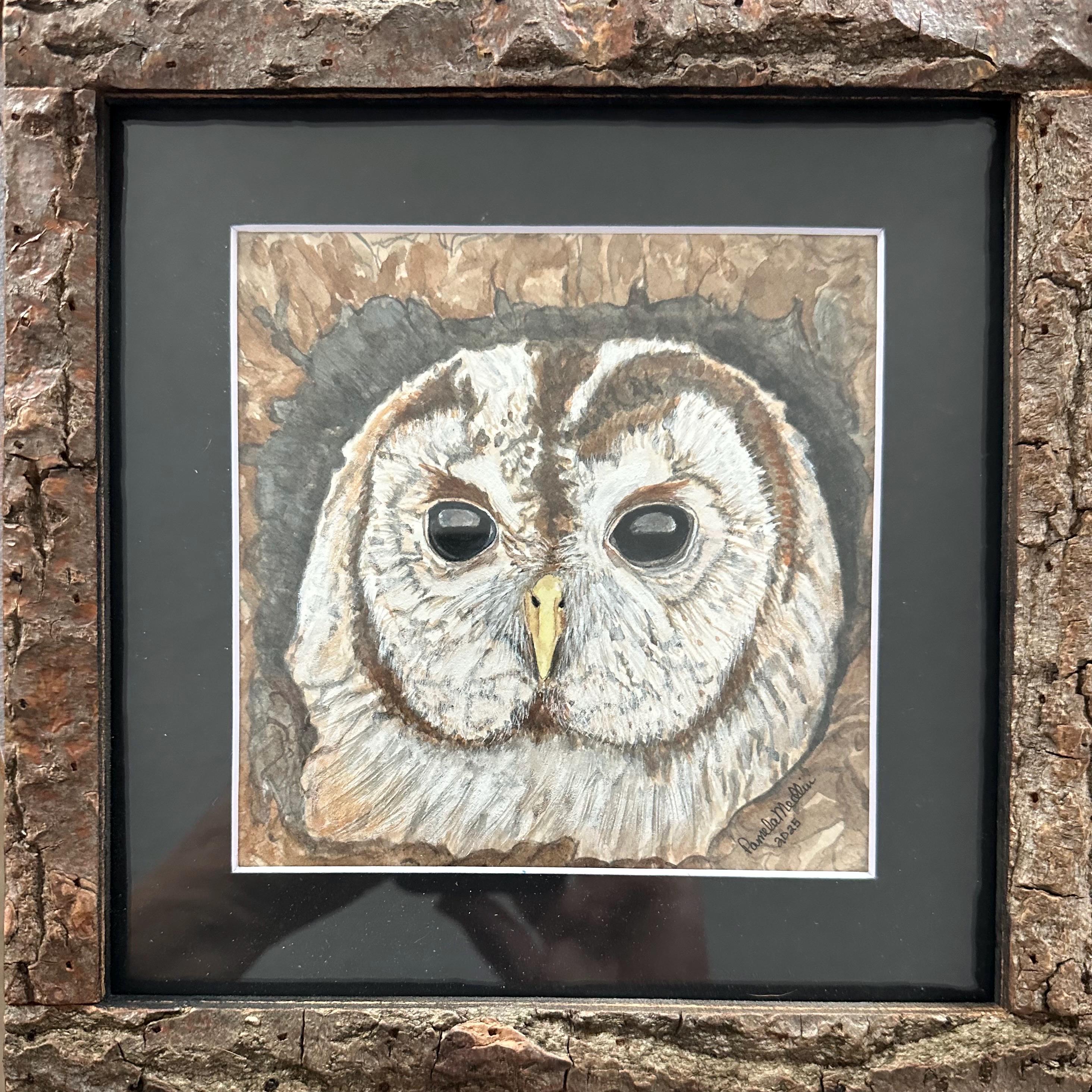 Tawny Owl