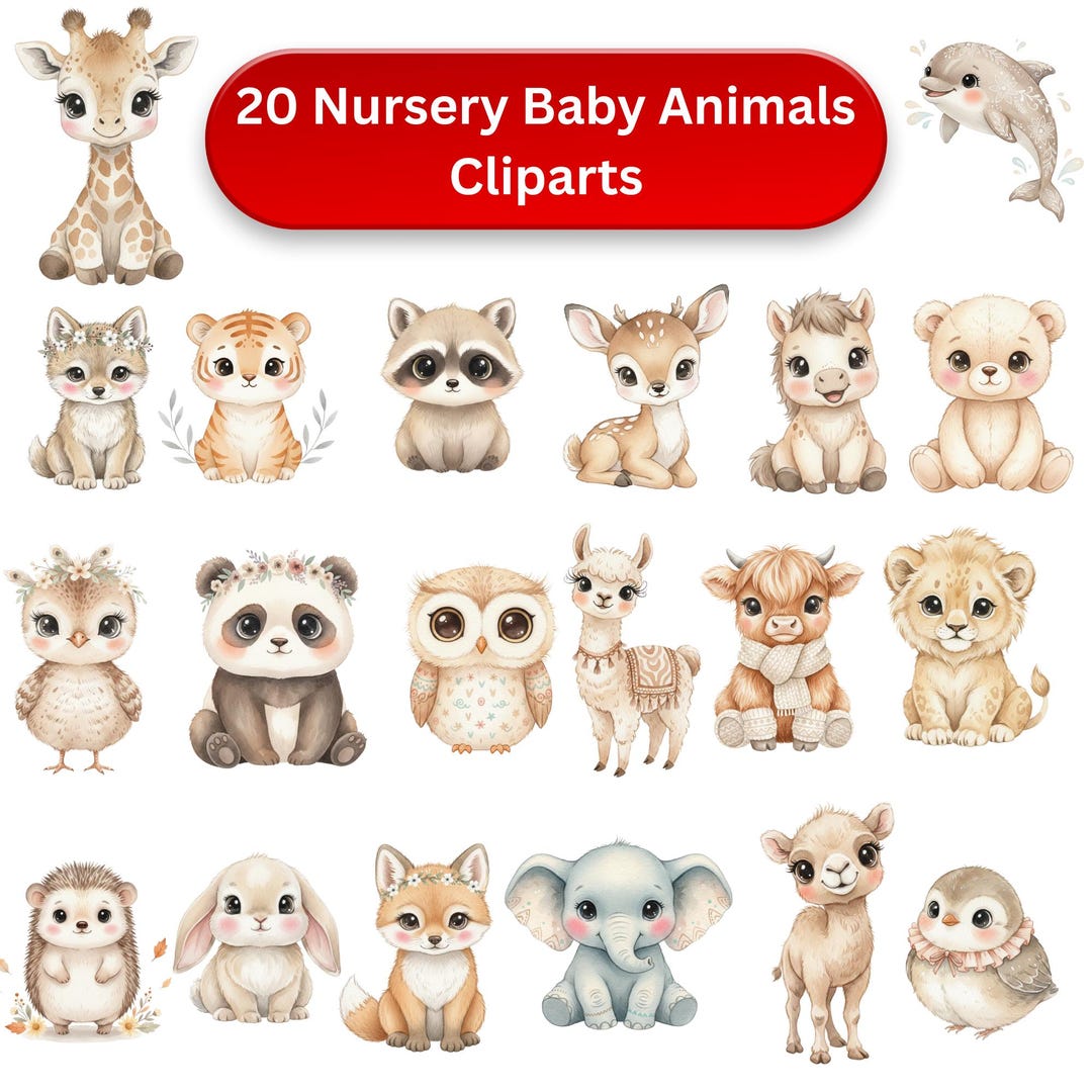 20 Baby Animal Nursery PNG Clipart Bundle, Cute Animal, Baby Animals ...
