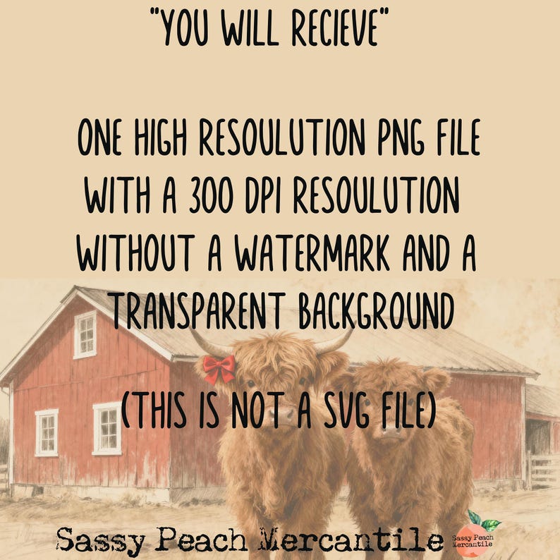 Puede incluir: Ilustraci&oacute;n digital de dos vacas escocesas marrones frente a un granero rojo. El texto en la parte superior dice "YOU WILL RECIEVE" y describe el archivo como un PNG de alta resoluci&oacute;n con fondo transparente.