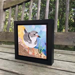 Original Fine Art Framed Collage Nantucket Plover Shore Bird Small 6x6 image 2