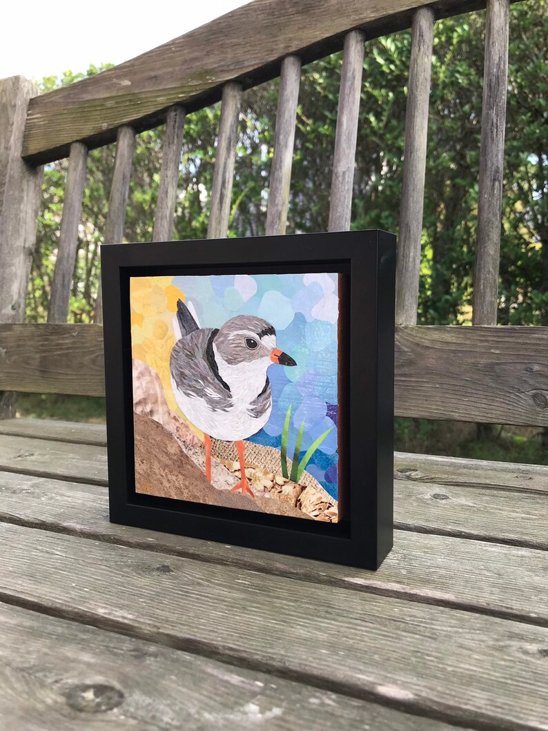 Original Fine Art Framed Collage Nantucket Plover Shore Bird Small 6x6 image 2