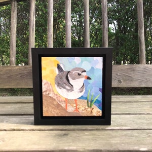 Original Fine Art Framed Collage Nantucket Plover Shore Bird Small 6x6 imagem 1