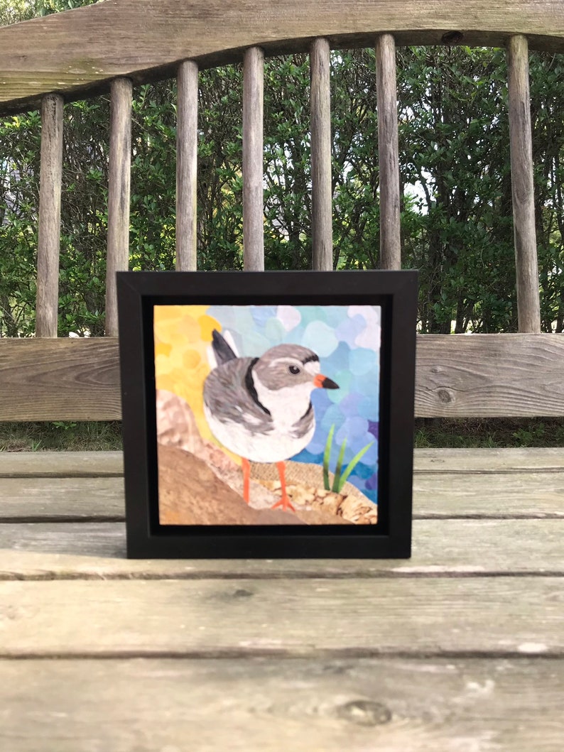 Original Fine Art Framed Collage Nantucket Plover Shore Bird Small 6x6 image 1