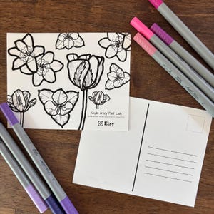 May include: A white postcard featuring black line drawings of various flowers, with the text "Sayde Crazy Plant Lady" and an Etsy logo. Several pink and purple markers are arranged around the postcard.