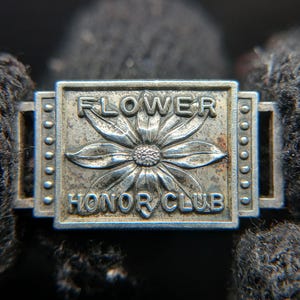 1920s Sterling Silver Girl Scouts Flower Honor Club Badge Spies Bros image 12