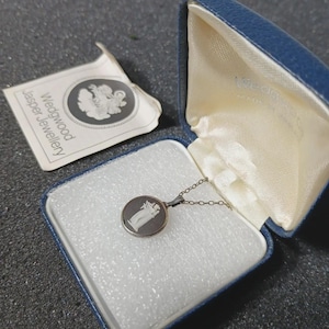 Wedgwood necklace - Etsy 日本
