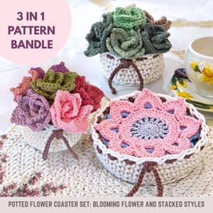 Crochet Pattern 3-in-1 Succulent Flower Pot: Coaster Flower Bouquet Set with 2 Pot Styles, Digital Download PDF