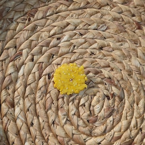 May include: A close-up shot of a woven, circular placemat with a spiral design. A yellow, flower-shaped object with white dots is placed on the placemat. The placemat is made of natural fibers, and the object appears to be made of resin.