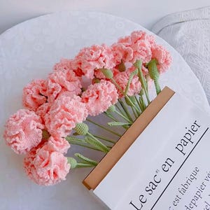 Puede incluir: Un ramo de claveles rosas de ganchillo con tallos y capullos verdes, presentado en una bolsa de papel. La bolsa tiene el texto "Le sac en papier". Las flores están dispuestas sobre una superficie blanca.