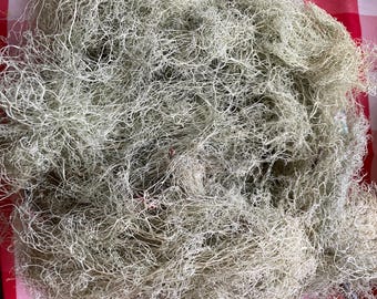 May include: A close-up view of a pile of dried, light gray Spanish moss. The moss has a tangled, fibrous texture, with numerous thin strands creating a dense, interwoven mass. The color is a muted, natural gray.