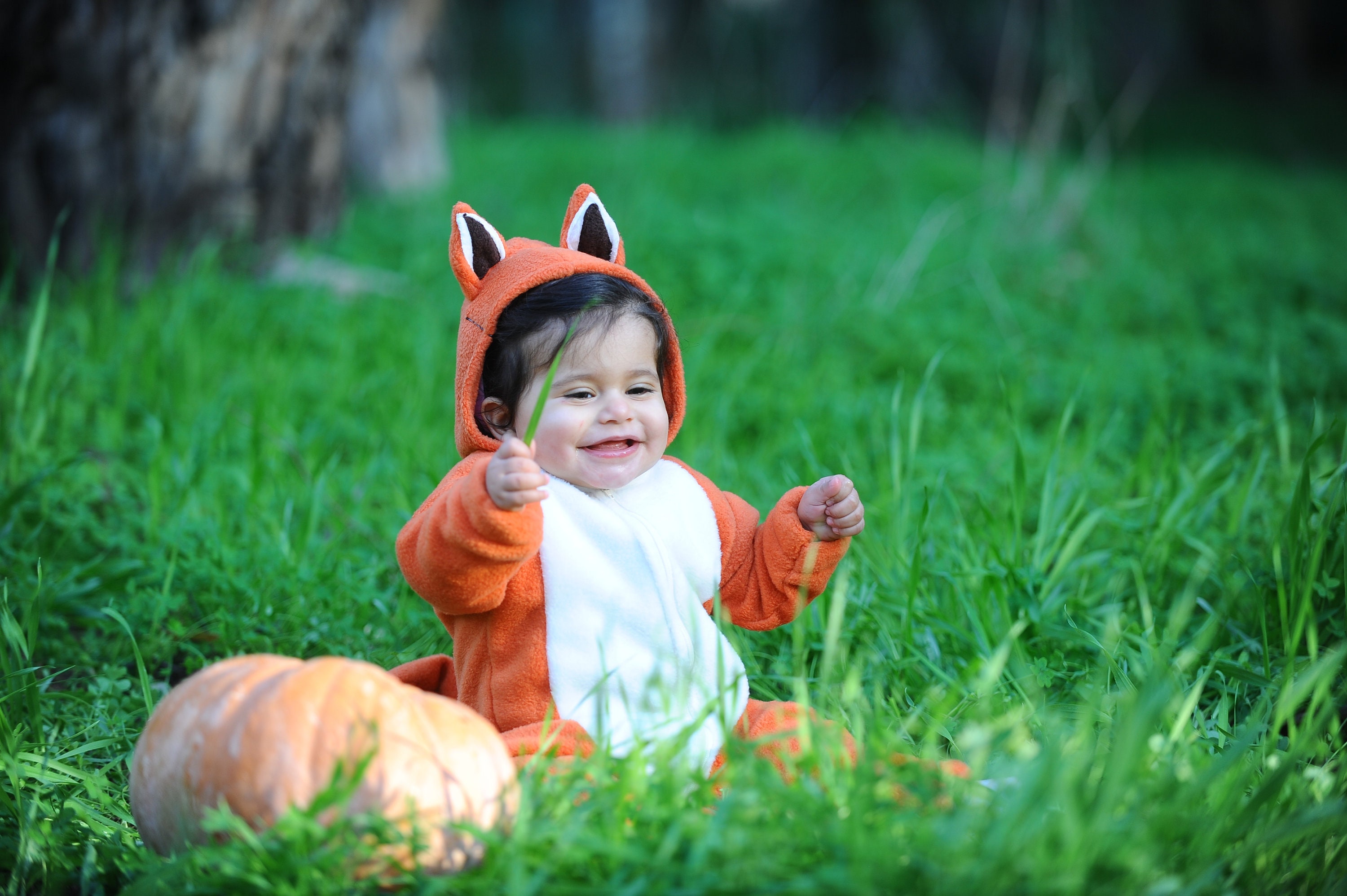 Fox Baby Costume / Halloween Baby Costume / Newborn Costume / Fox