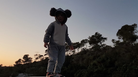 Koala bear pjs sales