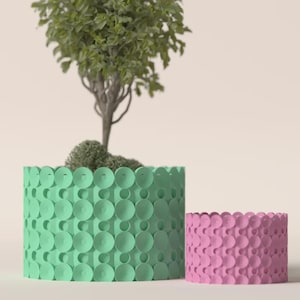 May include: Two decorative planters, one large and one small, in a minimalist style. The larger planter is a light green color and holds a small tree. The smaller planter is pink. Both planters have a repeating circular pattern.
