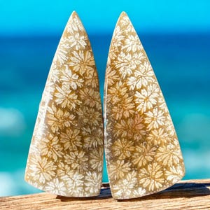 以下が含まれることがあります： ベージュとクリーム色の花柄模様が施された、研磨された三角形の石が2つ。石はぼやけた青色の背景に配置されており、自然な環境を示唆しています。石は木製の表面に展示されています。