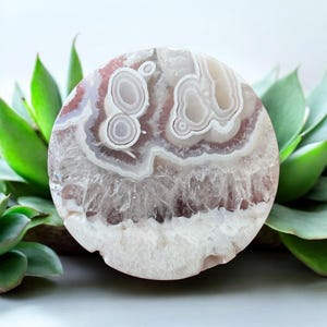 May include: A round, polished agate stone with concentric patterns in shades of white, gray, and maroon. The stone has a natural, organic appearance, with visible crystalline structures. The agate is displayed with green succulent plants in the background.