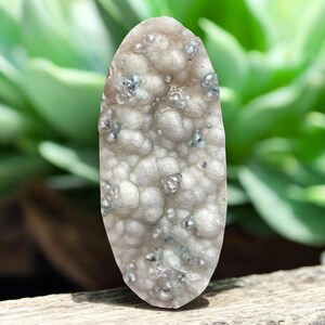 May include: An oval gemstone with a textured surface, displaying a mix of white, grey, and silver tones. The stone's surface has a bubbly appearance with small, sparkling inclusions. The background features a blurred green plant.