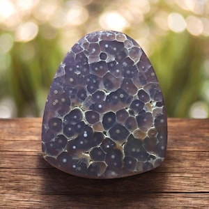 May include: A polished, dome-shaped cabochon stone featuring a distinct orbicular pattern. The surface displays numerous circular, light-coloured inclusions set within a translucent, deep purple and grey matrix, creating a natural cellular appearance.