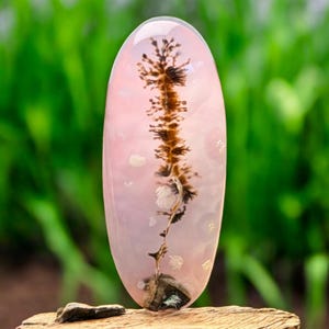 Cabochon d'agate dendritique - Agate naturelle à motif de fougères arborescentes - Pierre de paysage pour emballage de fil métallique et bijoux d'orfèvre 27 x 11 mm