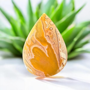 Puede incluir: Una gema pulida en forma de lágrima. La piedra presenta una mezcla de colores amarillo, naranja y crema con patrones intrincados. La gema se encuentra sobre un fondo borroso de follaje verde y una superficie blanca.