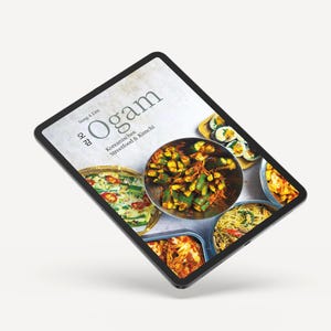 Korean Cookbook - Street Food and Kimchi - Digital Version