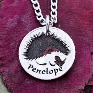 Engraved Hedgehog Necklace: Personalized US Coin Pet Gift
