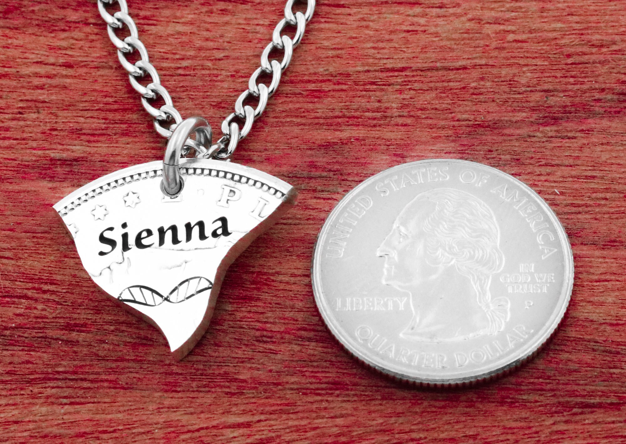 カスタム刻印入りファミリーDnaネックレス:ハンドカットコインジュエリー