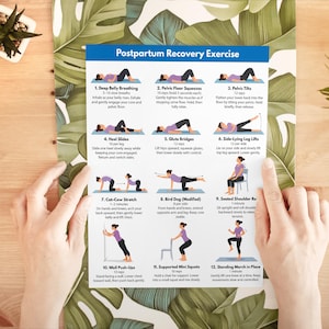 May include: A printed exercise guide titled "Postpartum Recovery Exercise" with illustrations of various exercises. The guide includes instructions for deep belly breathing, pelvic floor squeezes, pelvic tilts, heel slides, glute bridges, and side-lying leg lifts.
