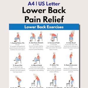 腰痛緩和、高齢者向け椅子を使ったエクササイズ（印刷可能）、座位・立位ストレッチ