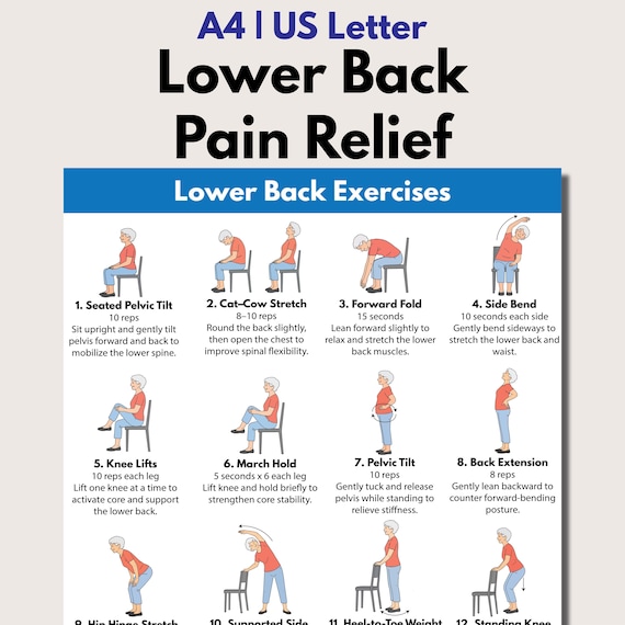 Lower Back Pain Relief, Printable Chair Exercises for Seniors, Seating & Standing Stretch Routine