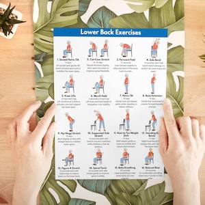 May include: A poster titled "Lower Back Exercises" displays 16 illustrated exercises with instructions. The exercises include stretches and movements to improve back health and flexibility. The poster is held by hands against a leafy green background.