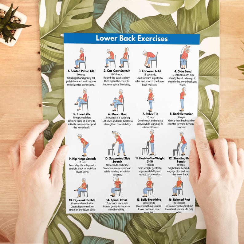 May include: A poster titled "Lower Back Exercises" displays 16 illustrated exercises with instructions. The exercises include stretches and movements to improve back health and flexibility. The poster is held by hands against a leafy green background.