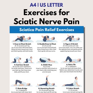Könnte beinhalten: Ein Poster mit dem Titel "Übungen bei Ischiasnervenschmerzen" mit Illustrationen verschiedener Dehnübungen. Die Übungen umfassen Knie zur Brust, Doppelkniestreckung, Figur-4-Dehnung, Katze-Kuh-Dehnung, Kindeshaltung, Beckenkippung, Gesäßbrücke, Hamstring-Dehnung und Kobra-Dehnung.