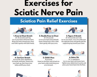 Sciatica Pain Relief Exercises for Seniors, Lower Back & Sciatic Nerve Stretch (PDF Download)