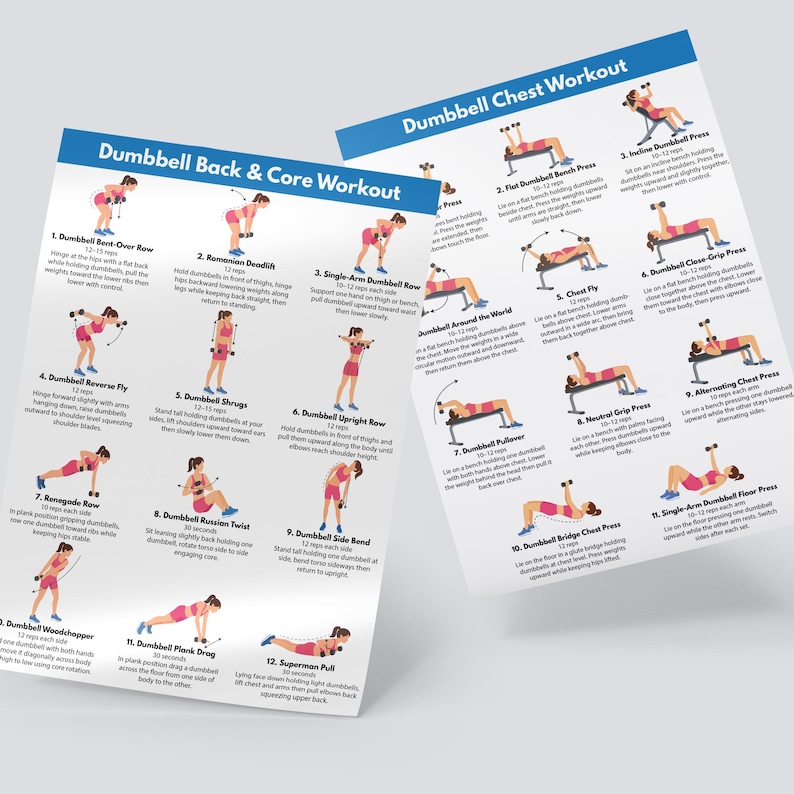May include: Two white instructional posters titled Dumbbell Back & Core Workout and Dumbbell Chest Workout. Each poster features numbered illustrations of a person in pink athletic wear performing various exercises with dumbbells and text.