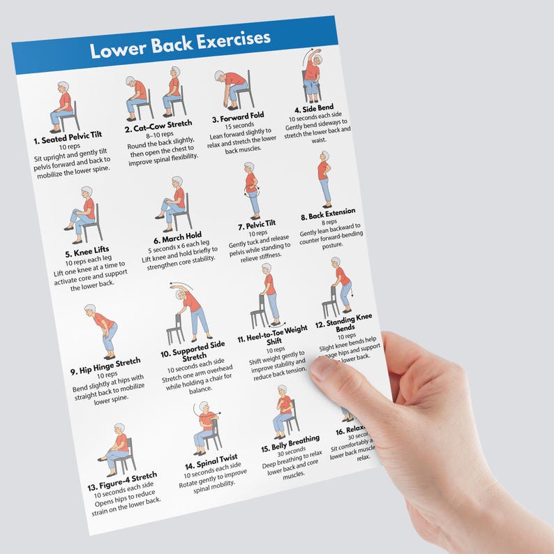 Lower Back Pain Relief, Back Strengthening Exercises at Home for Seniors (PDF Download) image 9