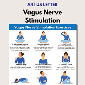 Può includere: Un poster bianco con accenti blu che descrive sei esercizi di stimolazione del nervo vago. Gli esercizi includono respirazione addominale profonda, respirazione con ronzio, gargarismi, allungamento del collo, esercizio di movimento degli occhi e spruzzi di acqua fredda. Il testo è nero.