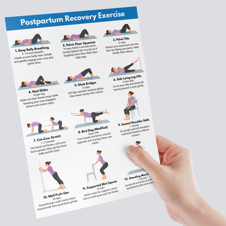 May include: A white printed sheet titled "Postpartum Recovery Exercise" with illustrations of exercises. The exercises include deep belly breathing, pelvic floor squeezes, pelvic tilts, heel slides, glute bridges, side-lying leg lifts, cat-cow stretch, bird dog, seated shoulder rolls, wall push-ups, supported mini squats, and standing march.