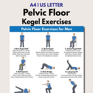 May include: An A4 infographic detailing pelvic floor exercises for men, including illustrations of each exercise. The exercises are: Basic Kegel Hold, Quick Kegels, Seated Kegel Hold, Ball Squeeze, Glute Bridge, and Lying Leg Lift.