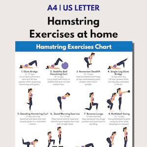 Può includere: Un grafico di esercizi per i muscoli posteriori della coscia a casa. Presenta illustrazioni e istruzioni per esercizi come il ponte glutei, il curl dei muscoli posteriori della coscia e lo stacco rumeno. Le misure sono in ripetizioni.
