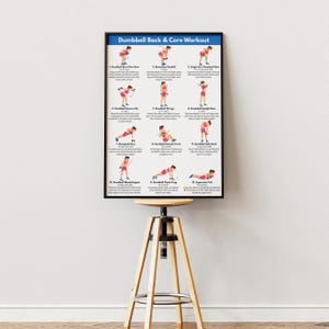 May include: A rectangular wall poster titled Dumbbell Back & Core Workout featuring twelve illustrated exercise steps with instructions. Each graphic shows a figure in pink athletic wear demonstrating movements like rows, deadlifts, and twists.