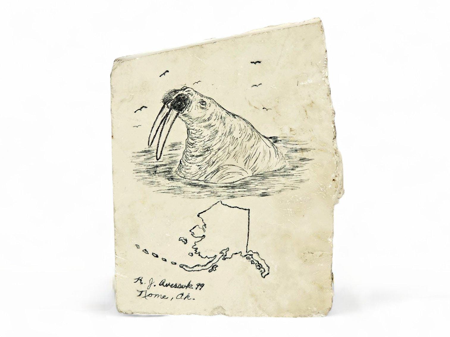 Walrus Drawing Art - Etsy