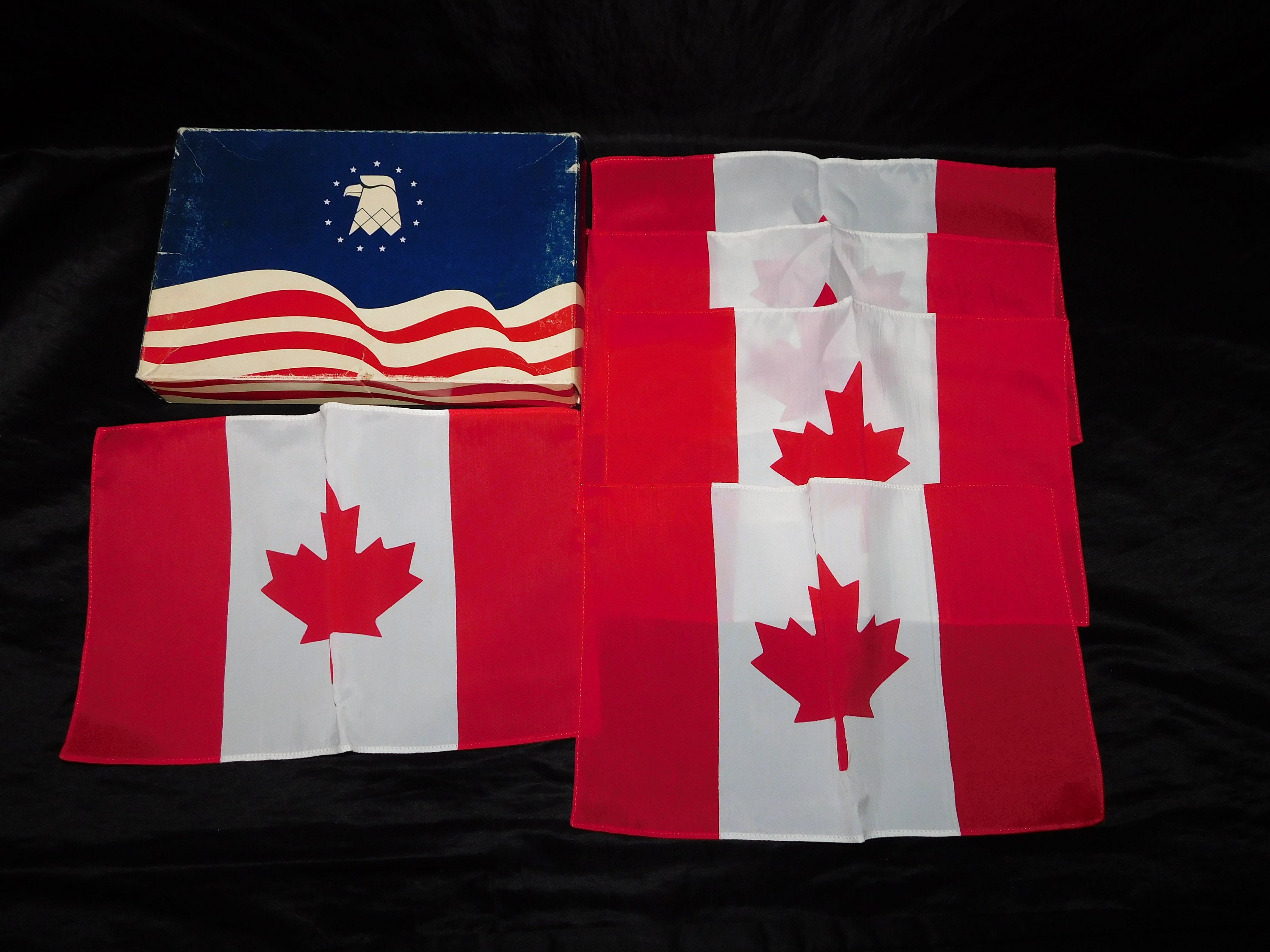 Annin Flagmakers 4 ft. x 6 ft. Nylon-Glo US Indoor Flag with Fringe