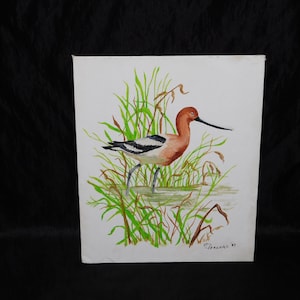 American Avocet Bird Oil Painting by Hattie Mae Pershall  Haines Alaska 1987 On Canvas Board 8 x  10