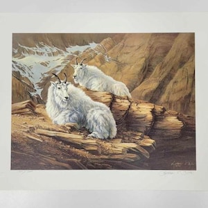 May include: A framed print depicting two mountain goats on a rocky outcrop. The goats have white fur and curved horns. The background shows a mountain range with snow-capped peaks and a warm colour palette.